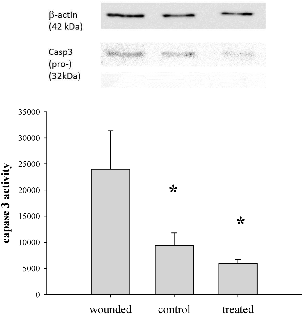 Pharmaceutics 07 00122 g008 1024