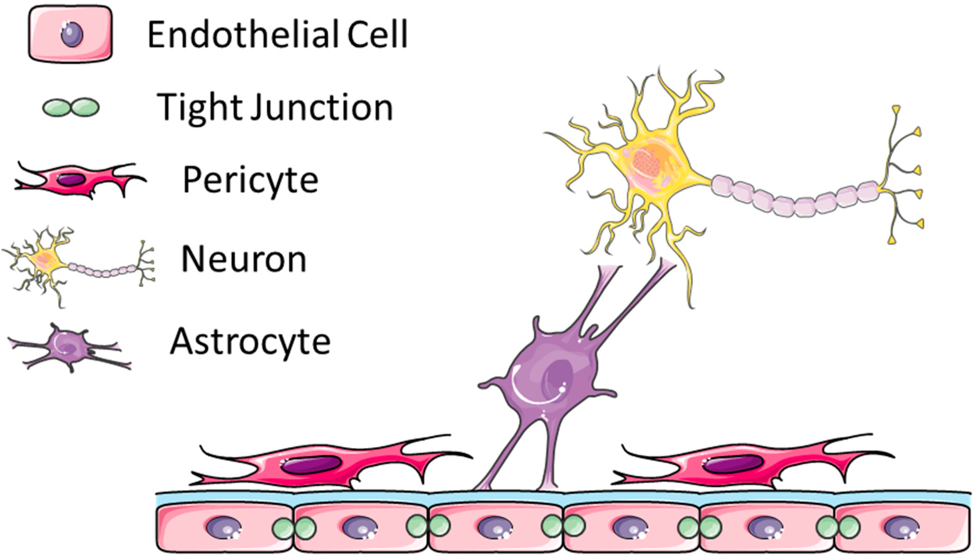 Pharmaceutics 07 00175 g001