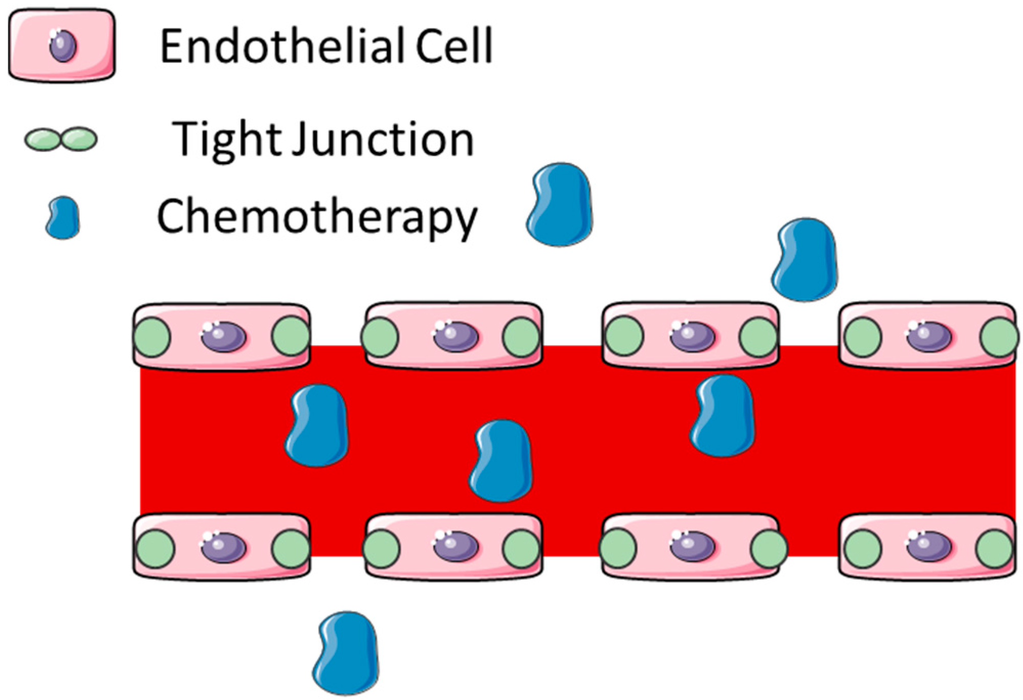 Pharmaceutics 07 00175 g002