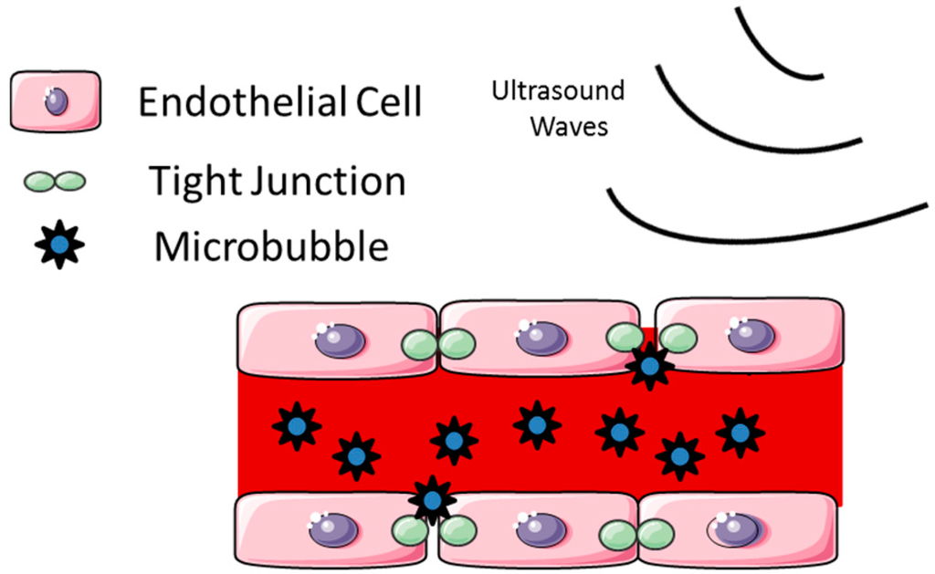 Pharmaceutics 07 00175 g003 1024