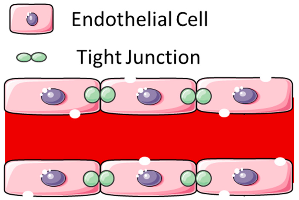 Pharmaceutics 07 00175 g004 1024