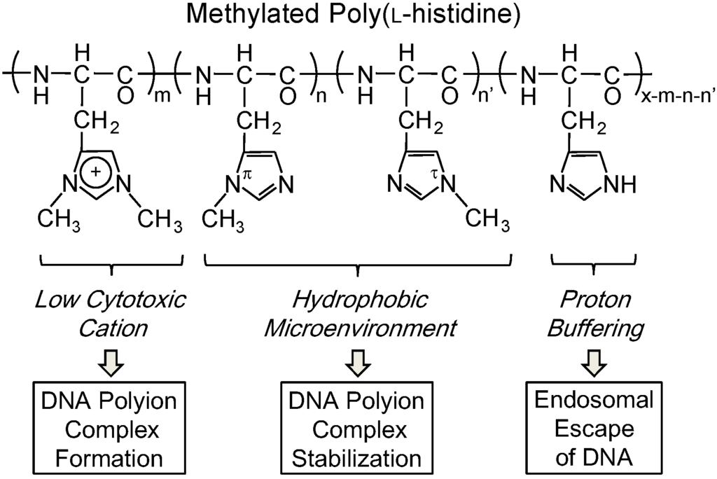 Pharmaceutics 07 00224 g001 1024