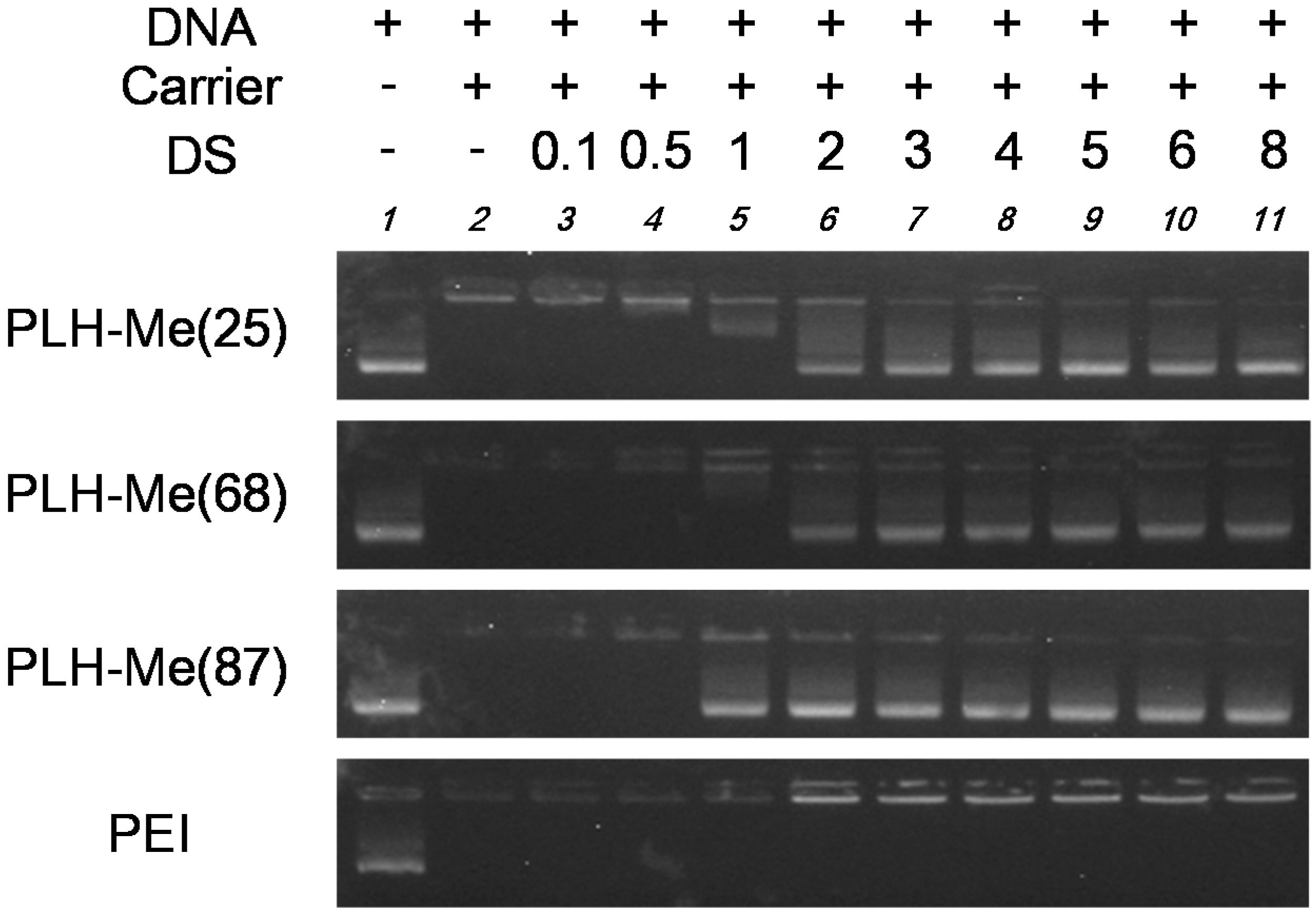 Pharmaceutics 07 00224 g002