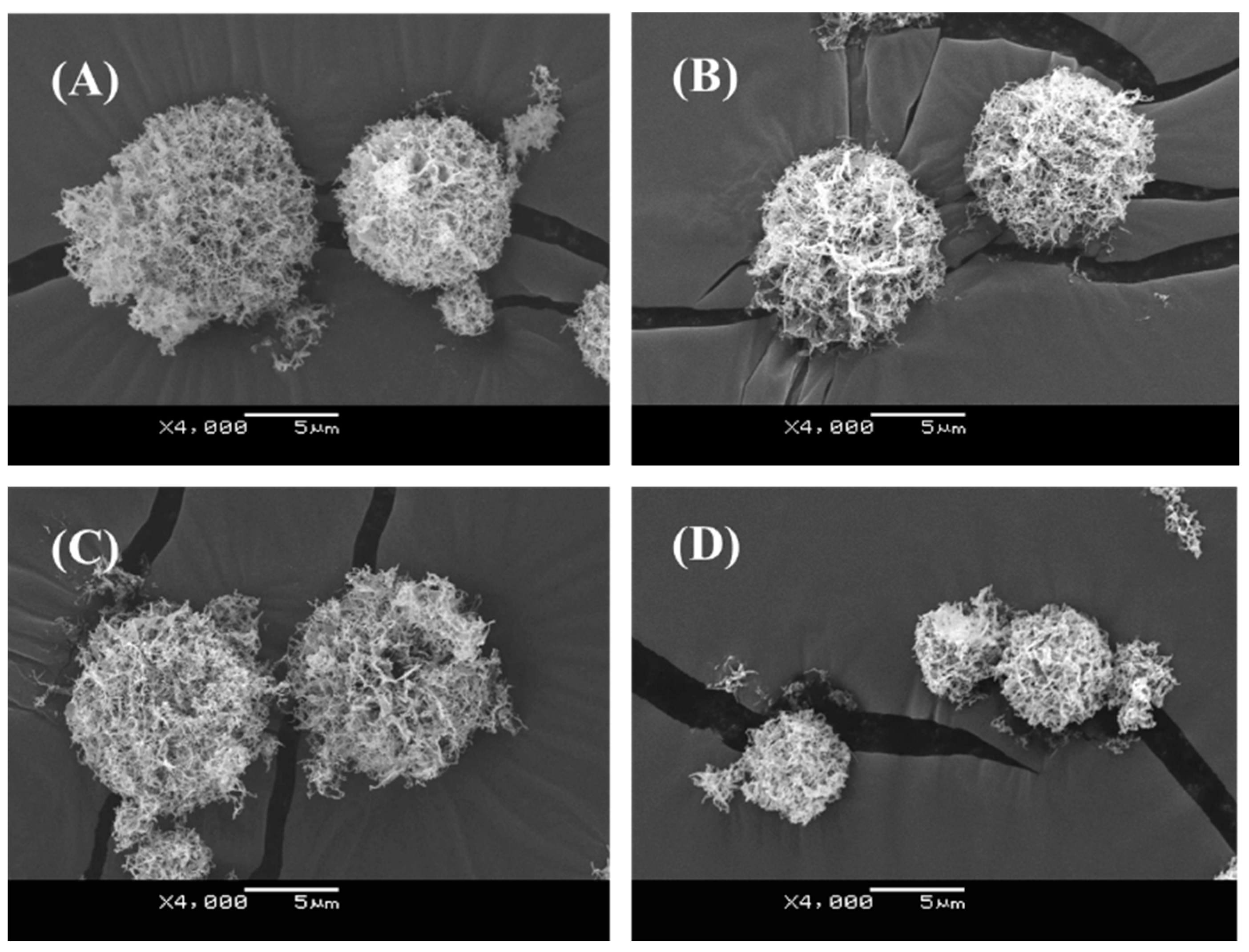 Pharmaceutics 07 00233 g003
