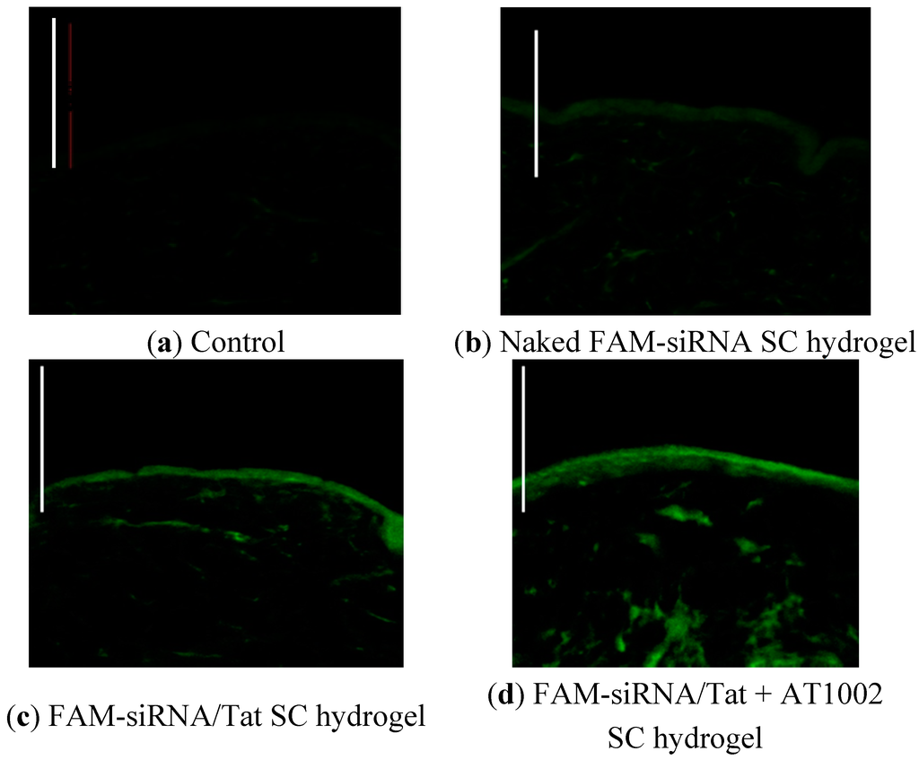Pharmaceutics 07 00294 g001 1024