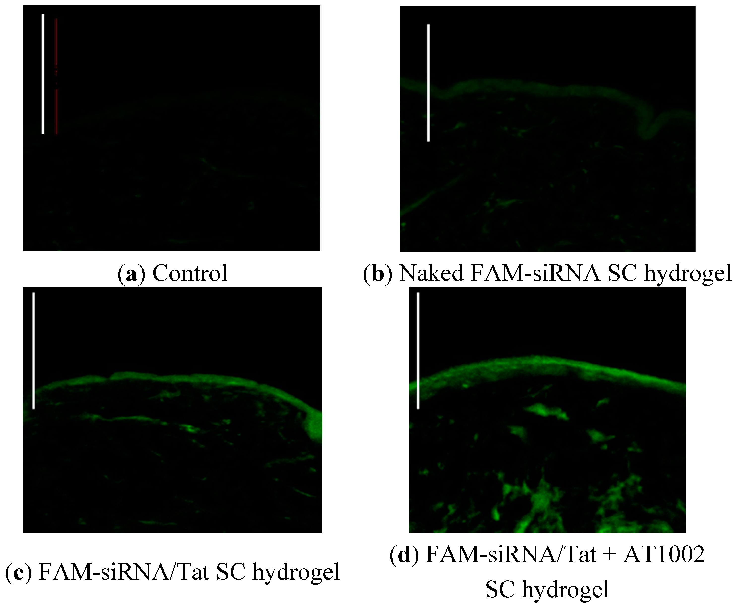 Pharmaceutics 07 00294 g001