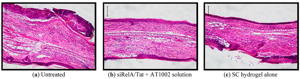 Pharmaceutics 07 00294 g004a 1024