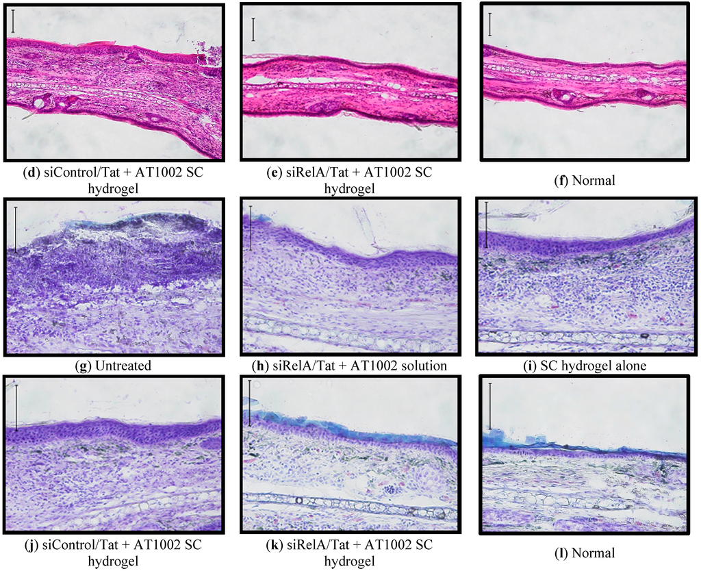 Pharmaceutics 07 00294 g004b 1024