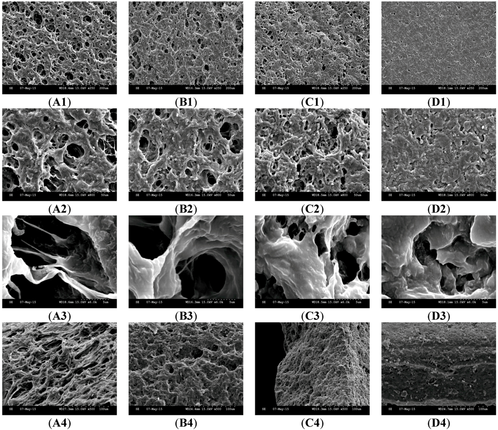 Pharmaceutics 07 00305 g003a 1024