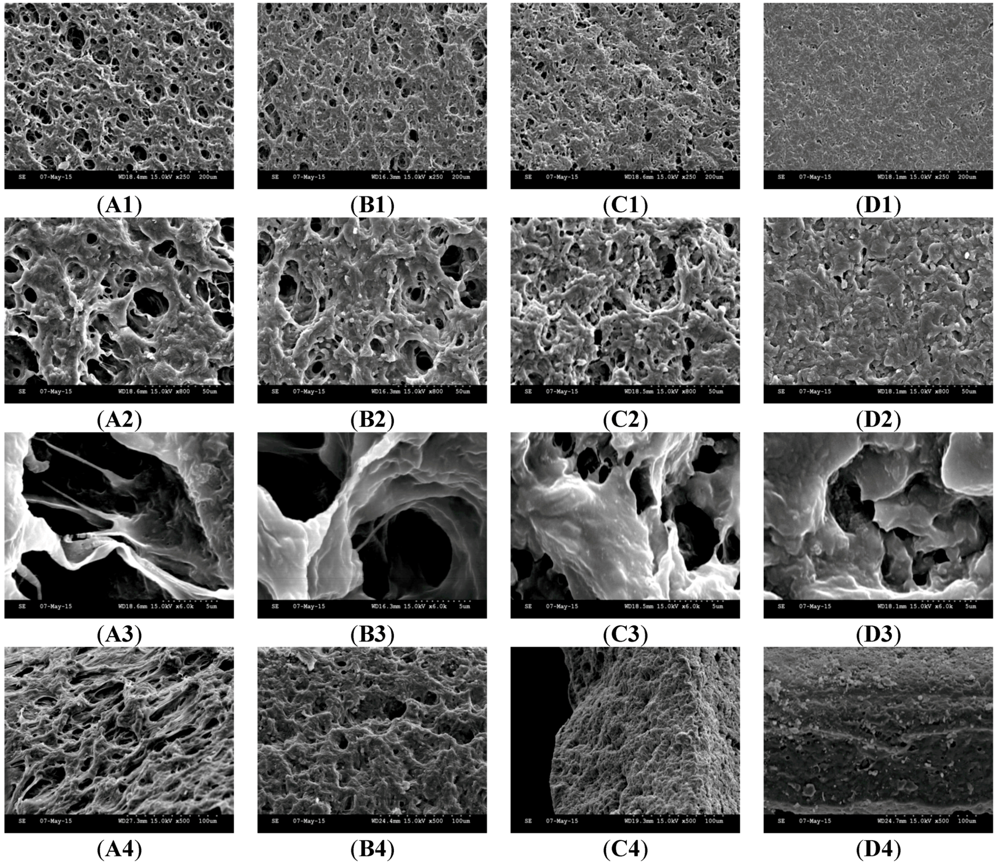 Pharmaceutics 07 00305 g003a