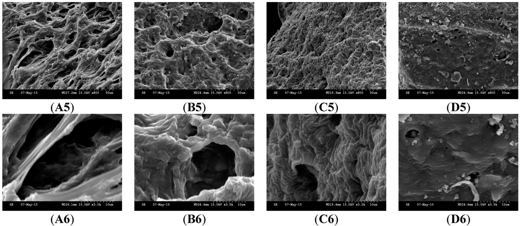 Pharmaceutics 07 00305 g003b 1024