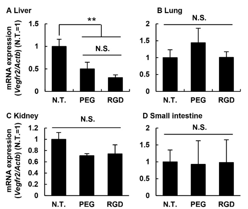 Pharmaceutics 07 00320 g006 1024