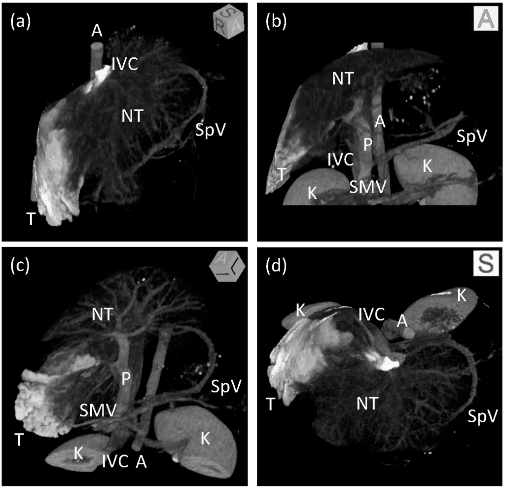 Pharmaceutics 07 00334 g004 1024