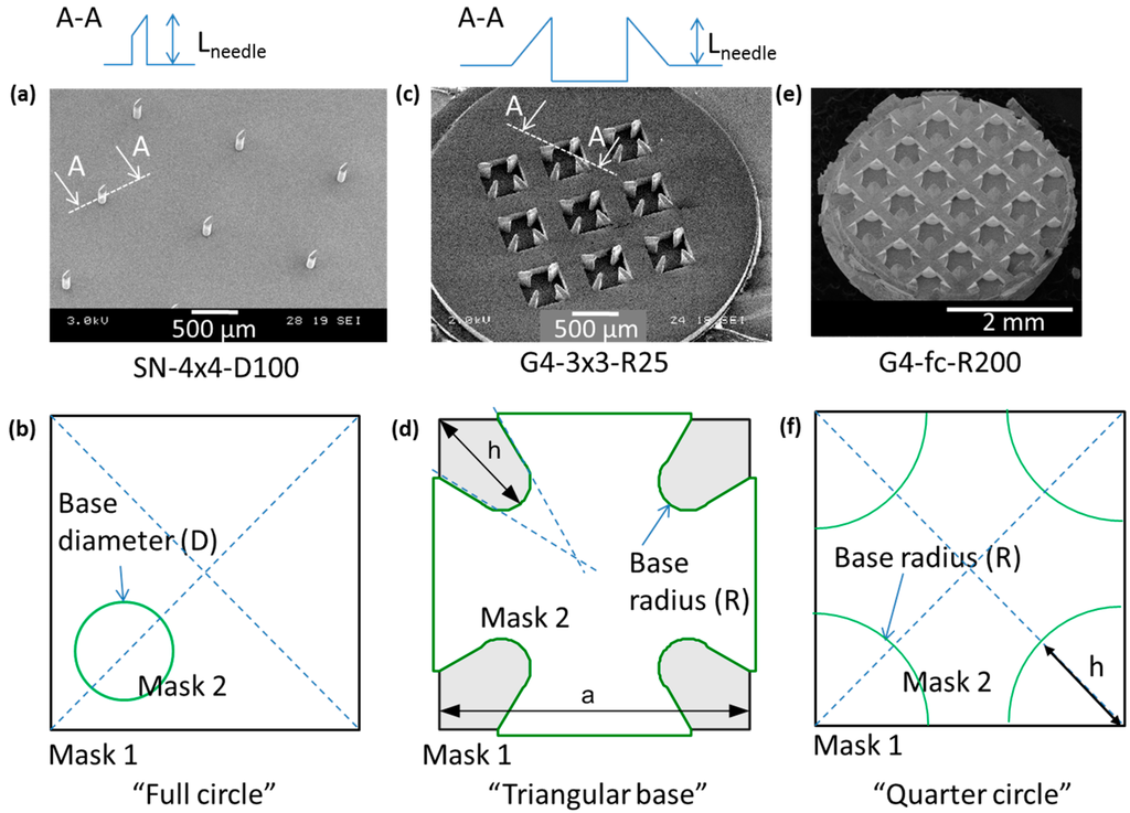 Pharmaceutics 07 00503 g001 1024