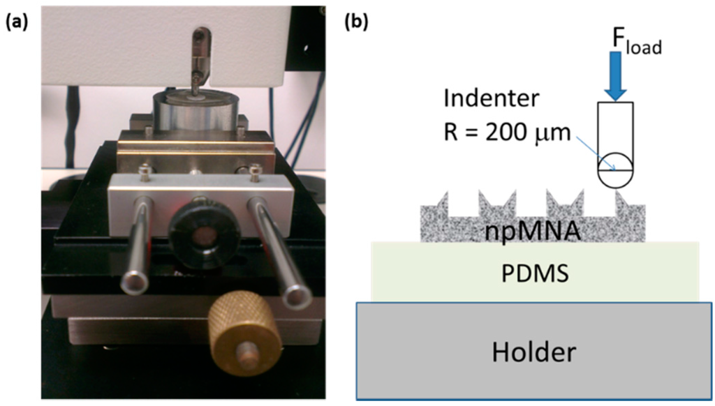 Pharmaceutics 07 00503 g002 1024