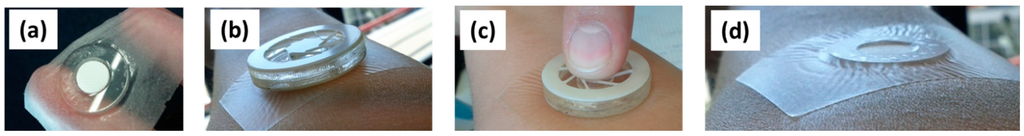 Pharmaceutics 07 00503 g005 1024