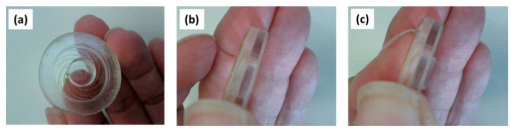 Pharmaceutics 07 00503 g006 1024