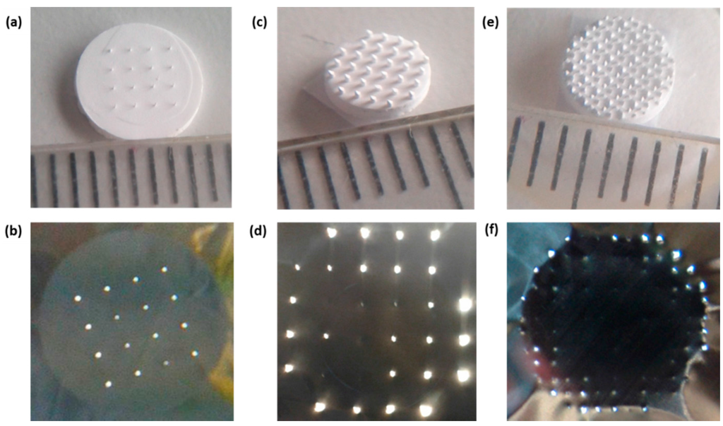 Pharmaceutics 07 00503 g010 1024