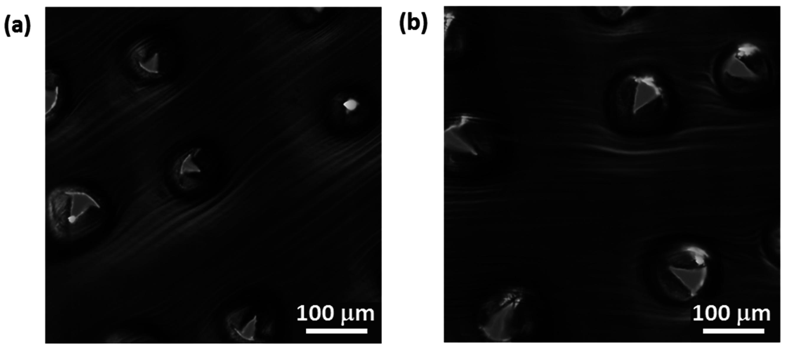 Pharmaceutics 07 00503 g012