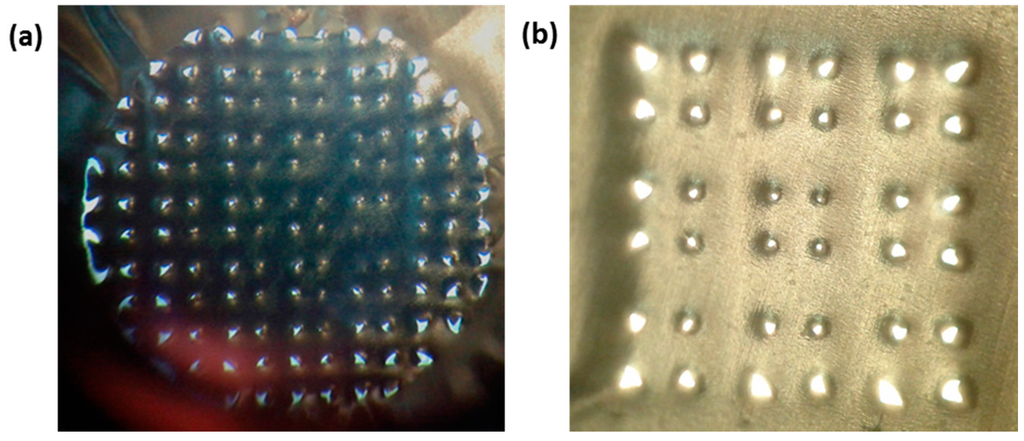 Pharmaceutics 07 00503 g013 1024