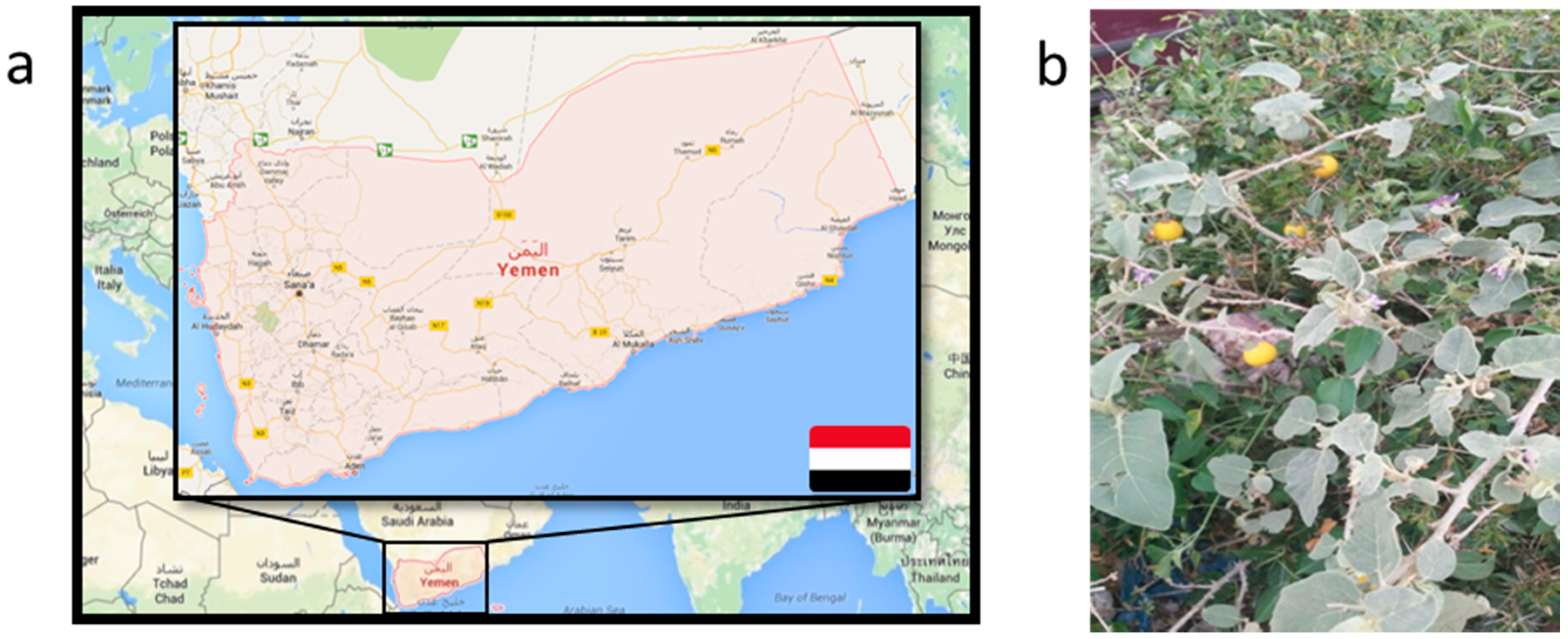 Pharmaceutics 08 00011 g001a