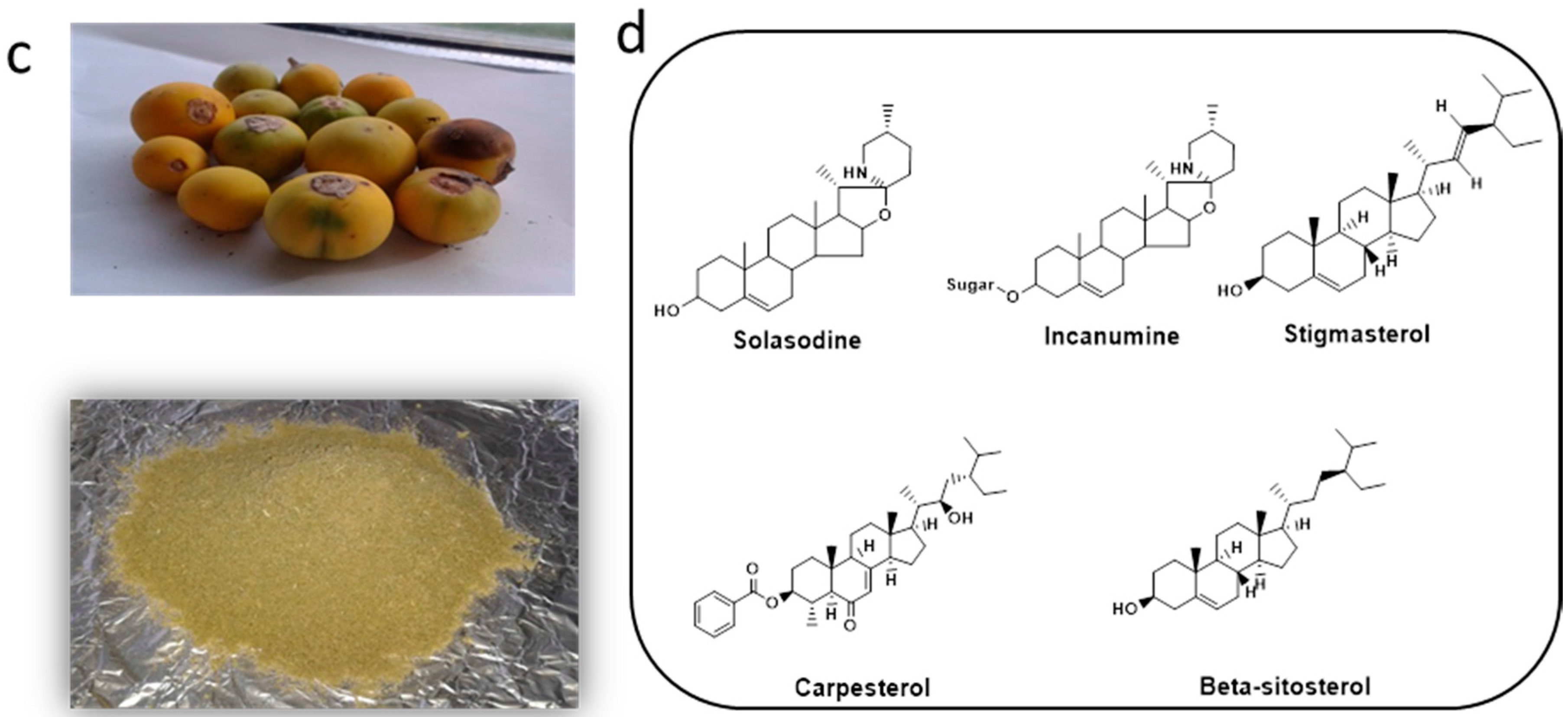 Pharmaceutics 08 00011 g001b