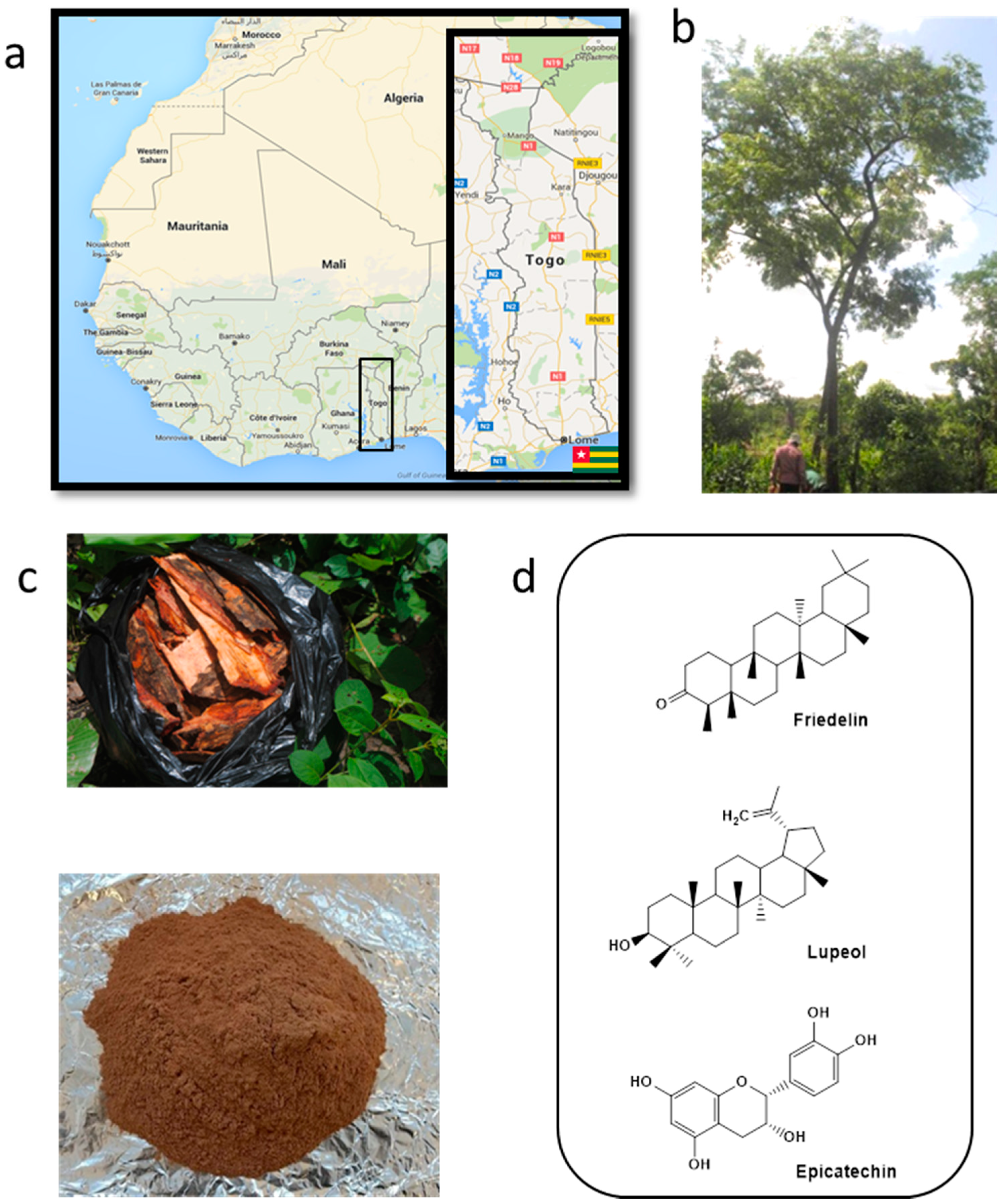 Pharmaceutics 08 00011 g002