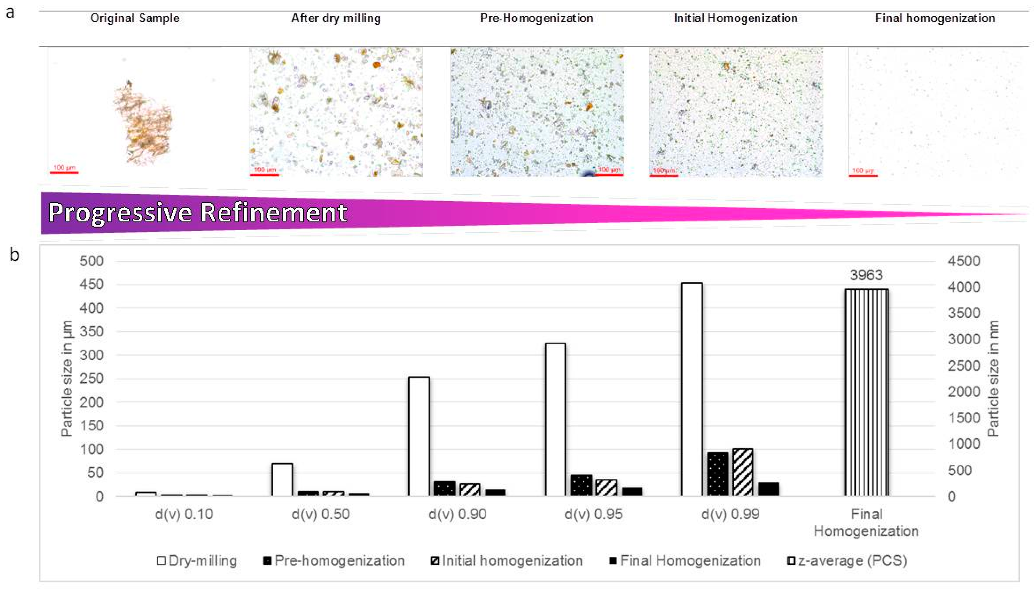 Pharmaceutics 08 00011 g004