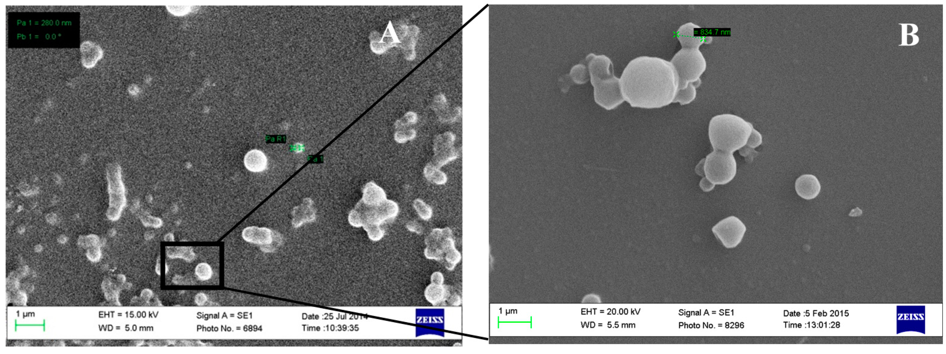 Pharmaceutics 08 00014 g005