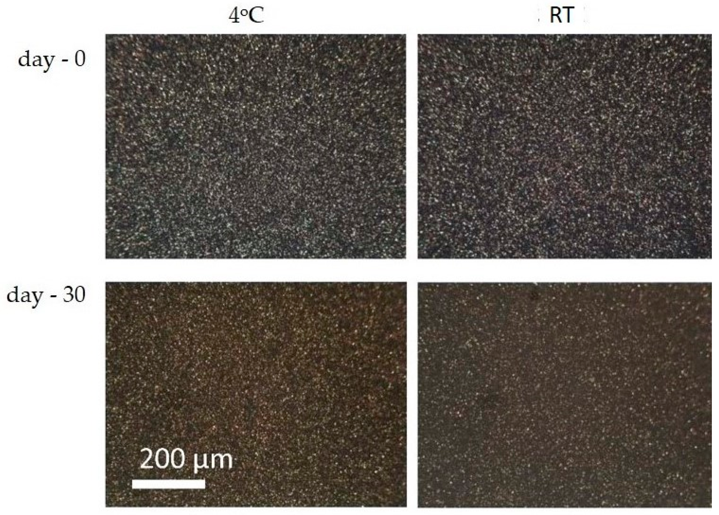 Pharmaceutics 08 00024 g006