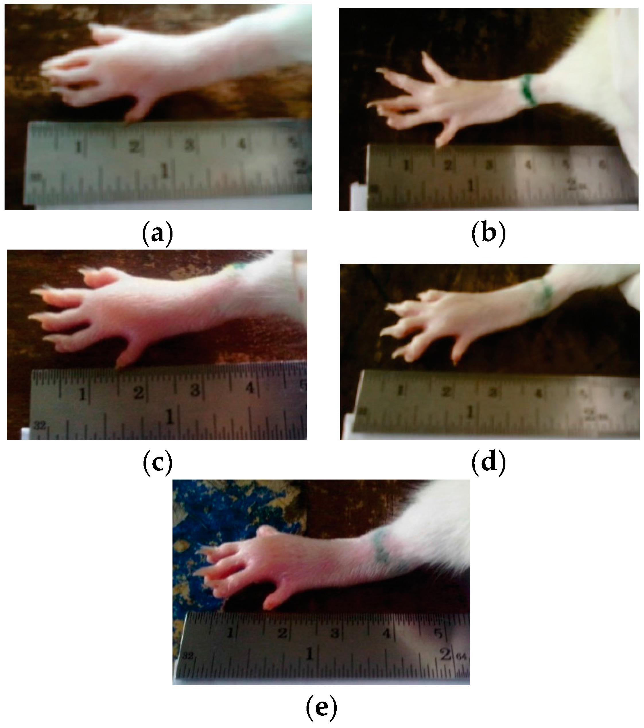 Pharmaceutics 08 00024 g008