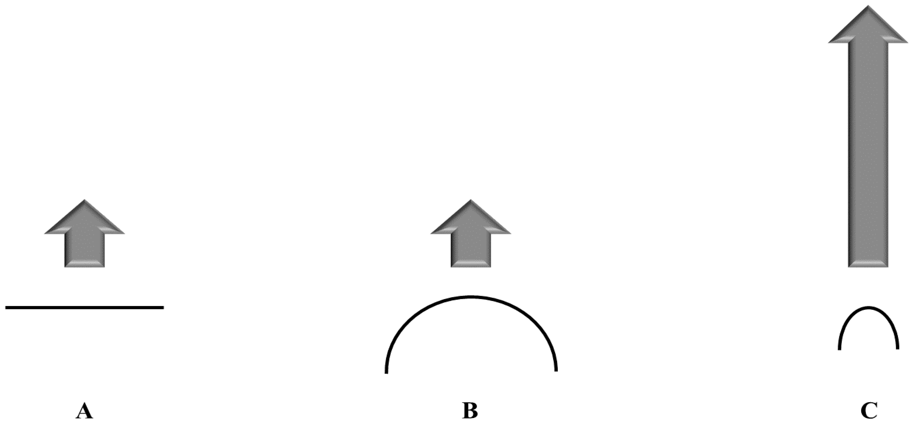 Pharmaceutics 08 00026 g002