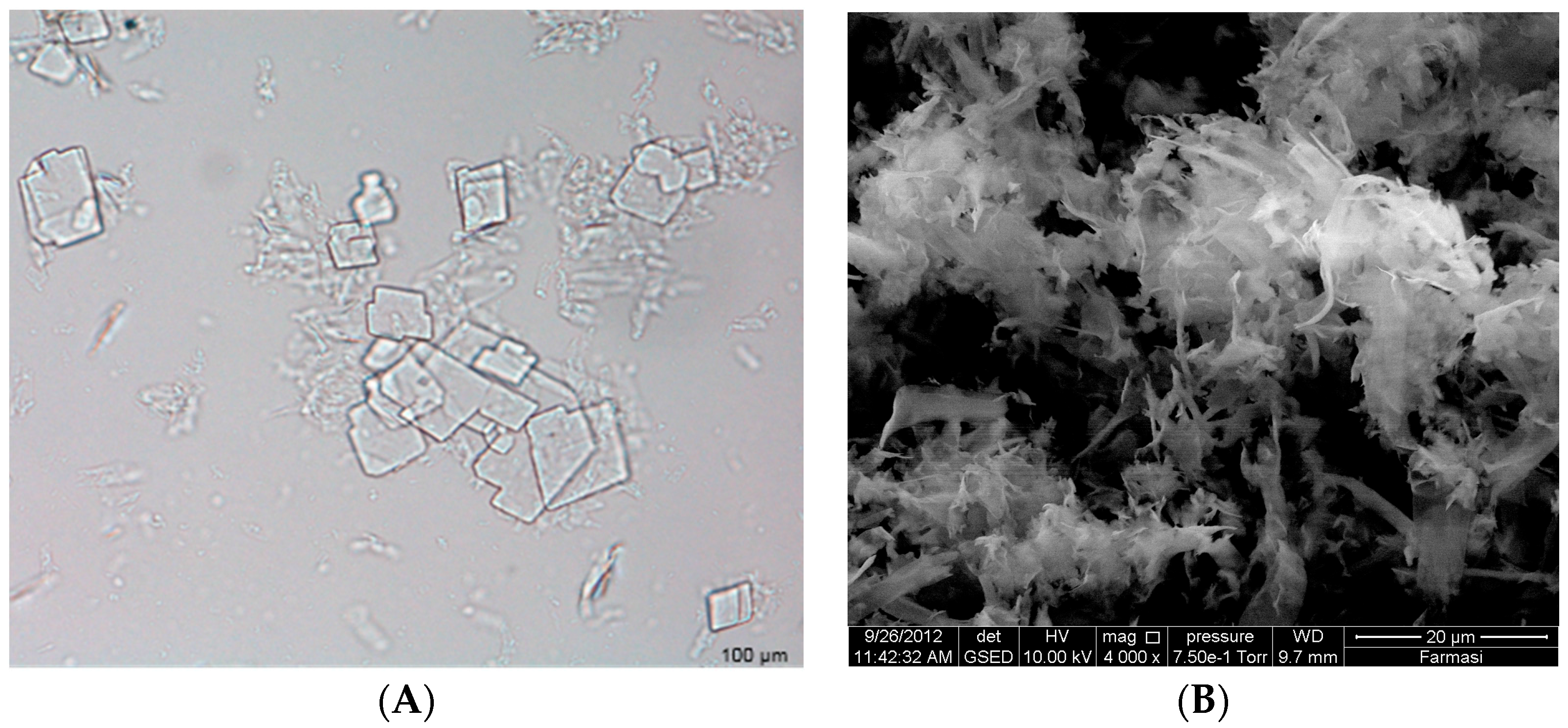 Pharmaceutics 08 00027 g001