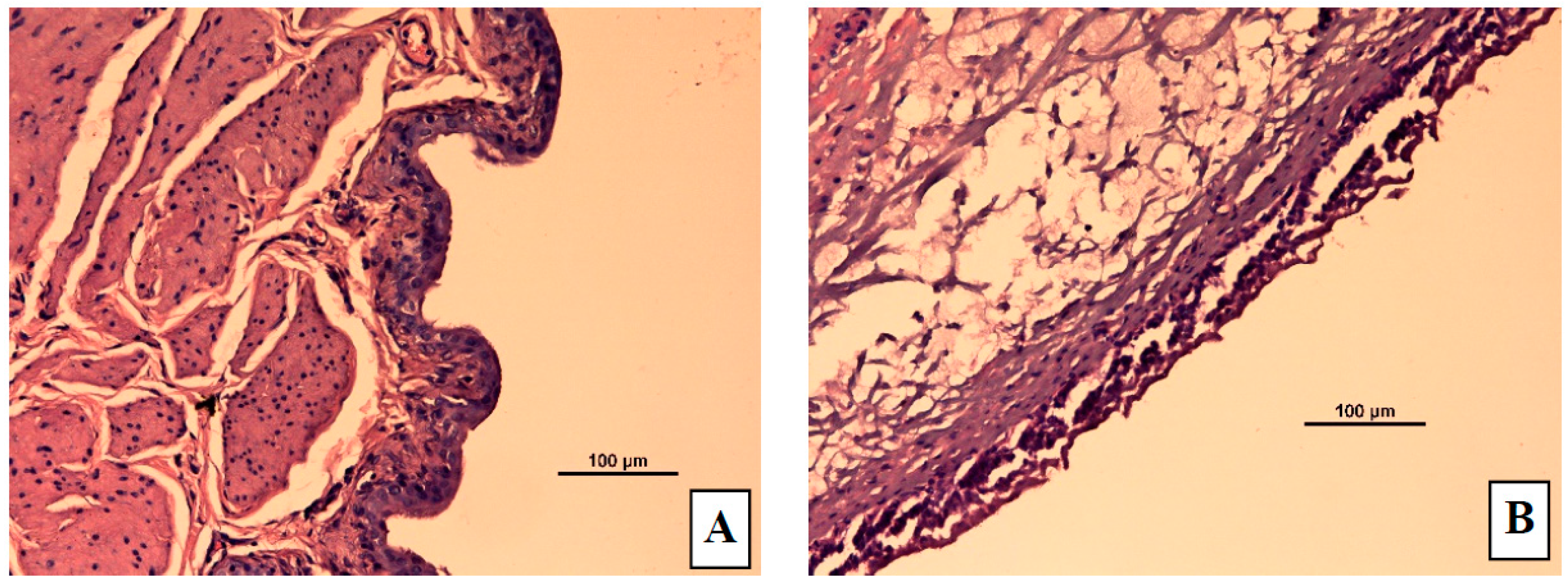 Pharmaceutics 08 00027 g007a
