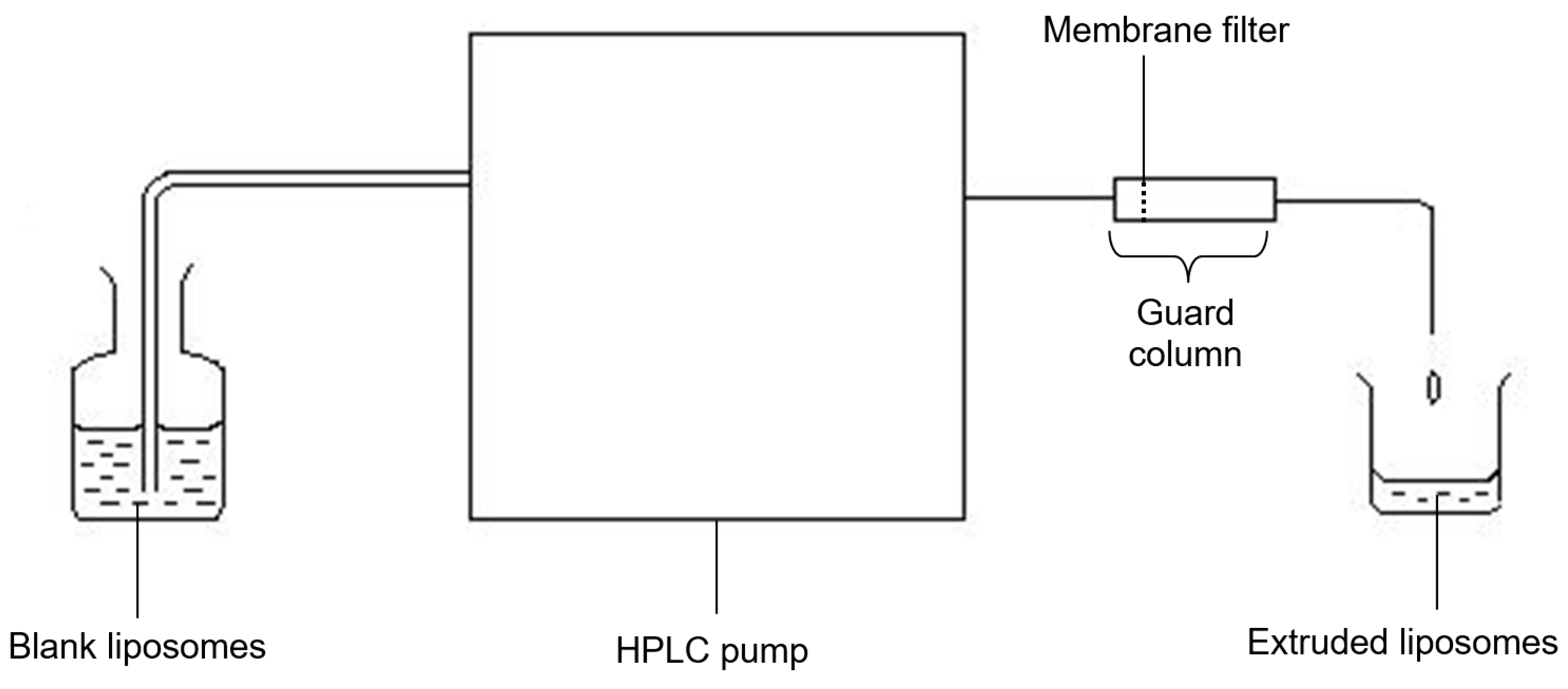 Pharmaceutics 08 00036 g001