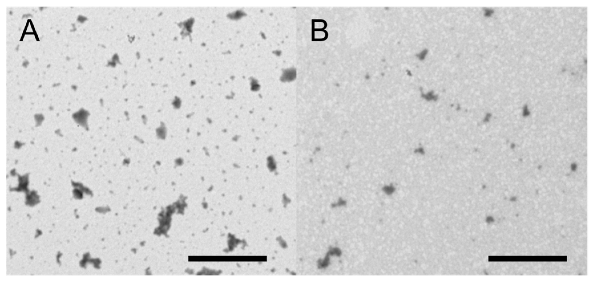 Pharmaceutics 09 00001 g005