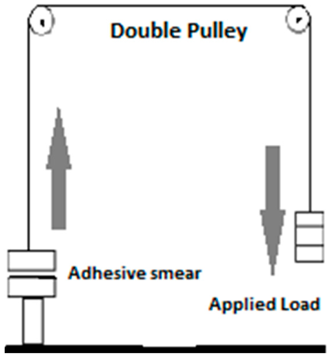 Pharmaceutics 09 00020 g001
