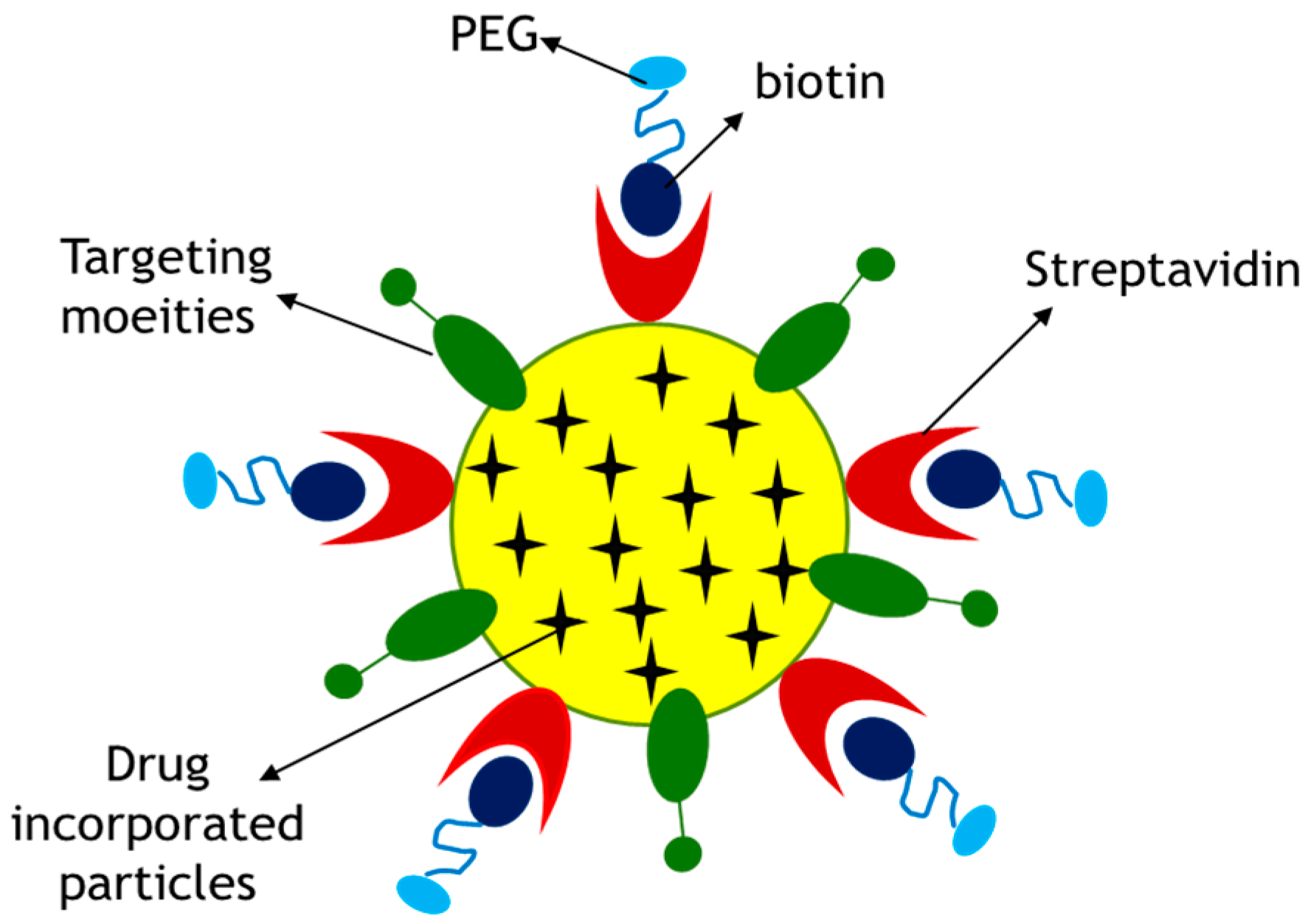 Pharmaceutics 09 00021 g012