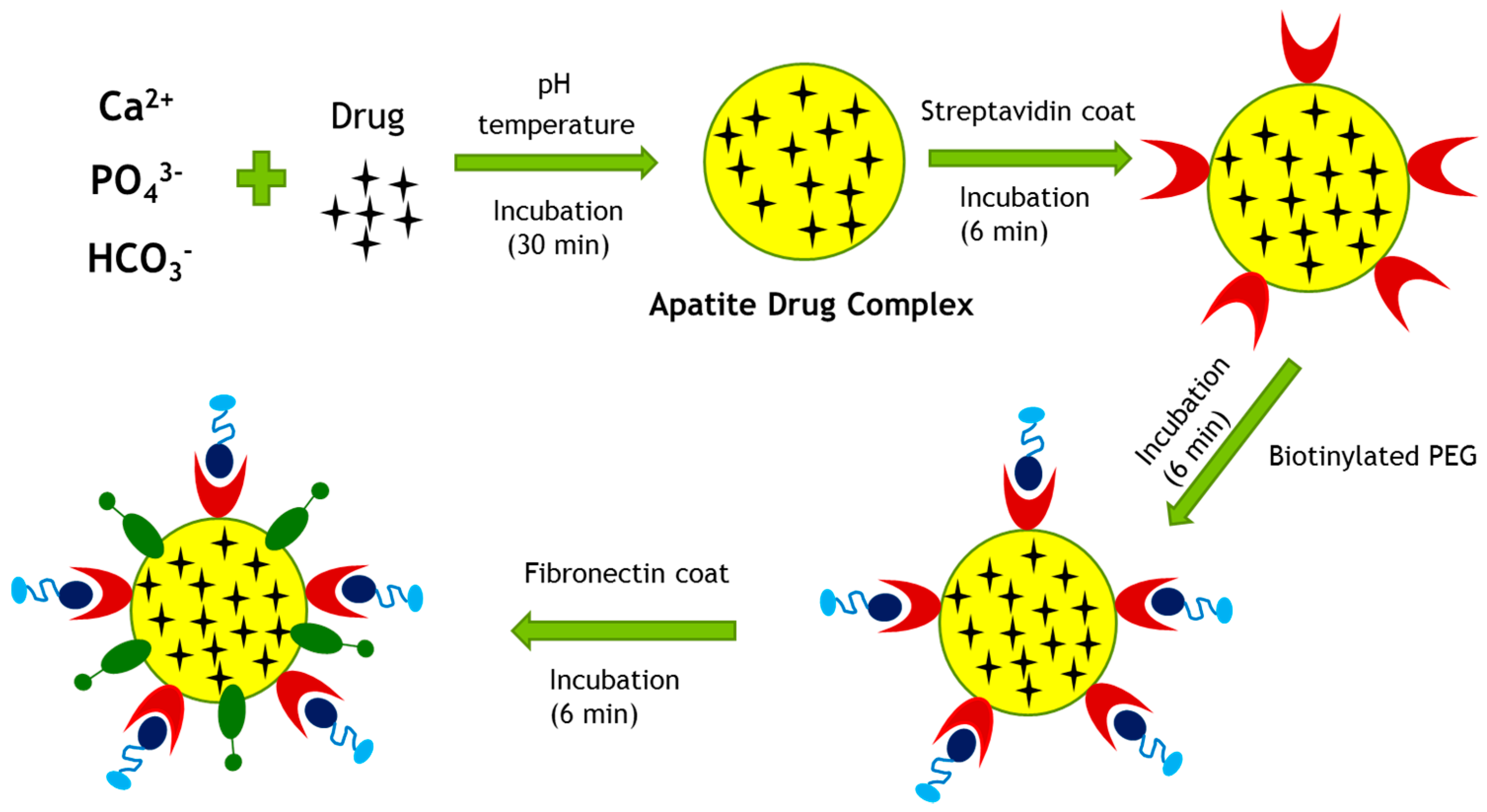 Pharmaceutics 09 00021 g013