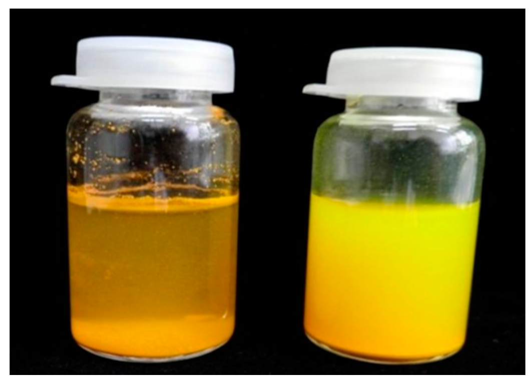 Pharmaceutics 09 00024 g001