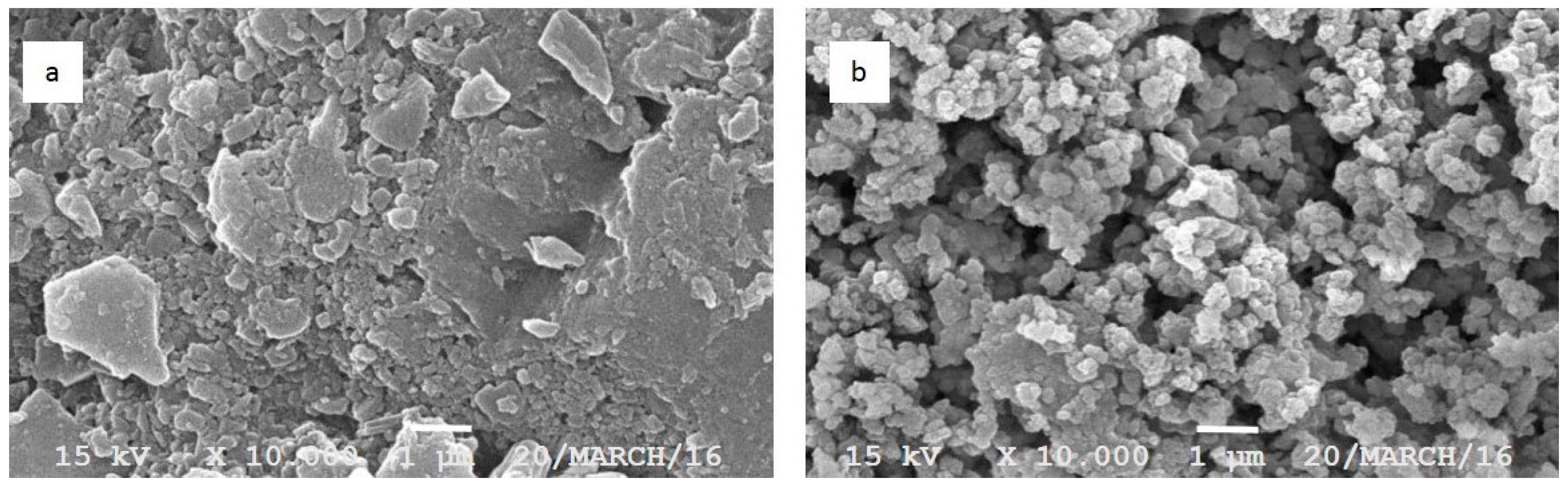 Pharmaceutics 09 00024 g002