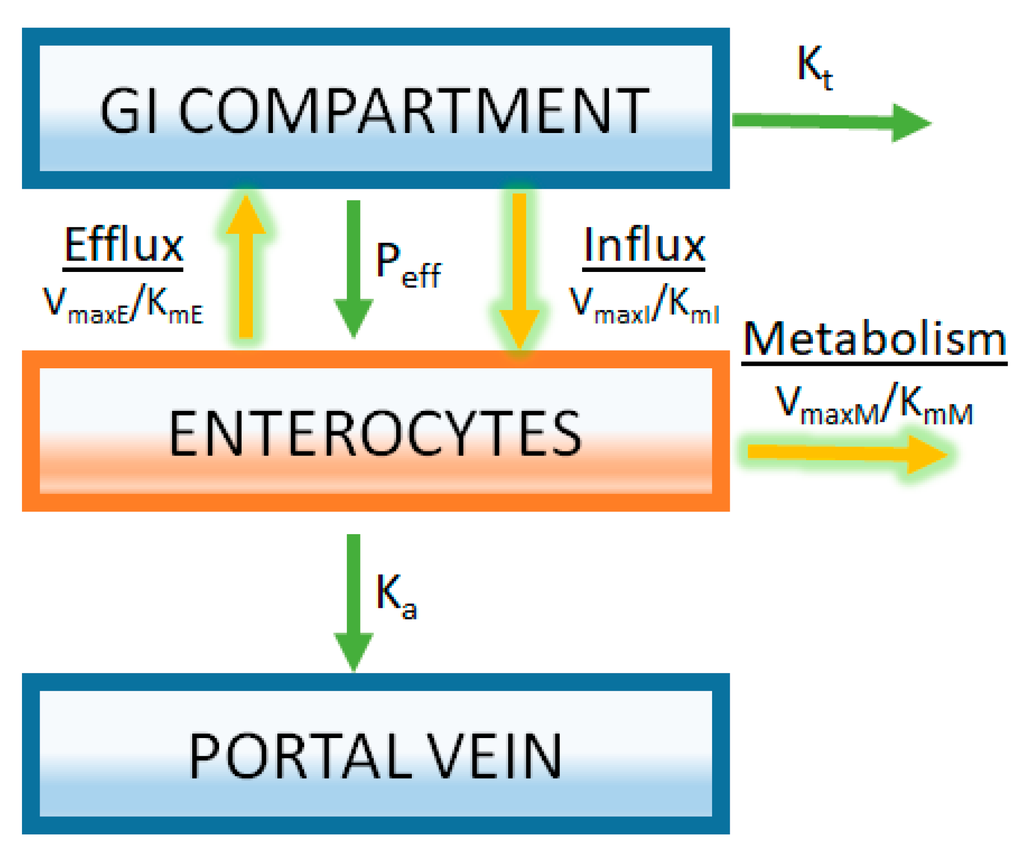 Pharmaceutics 09 00041 g005