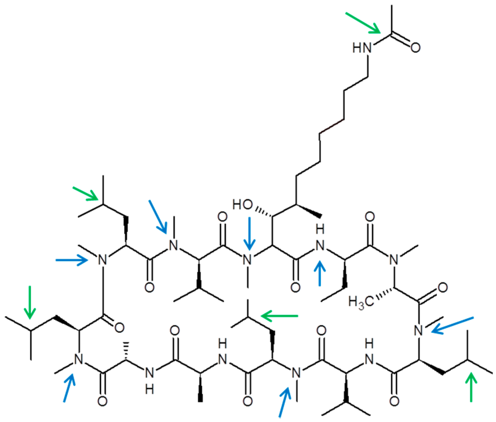 Pharmaceutics 09 00051 g005