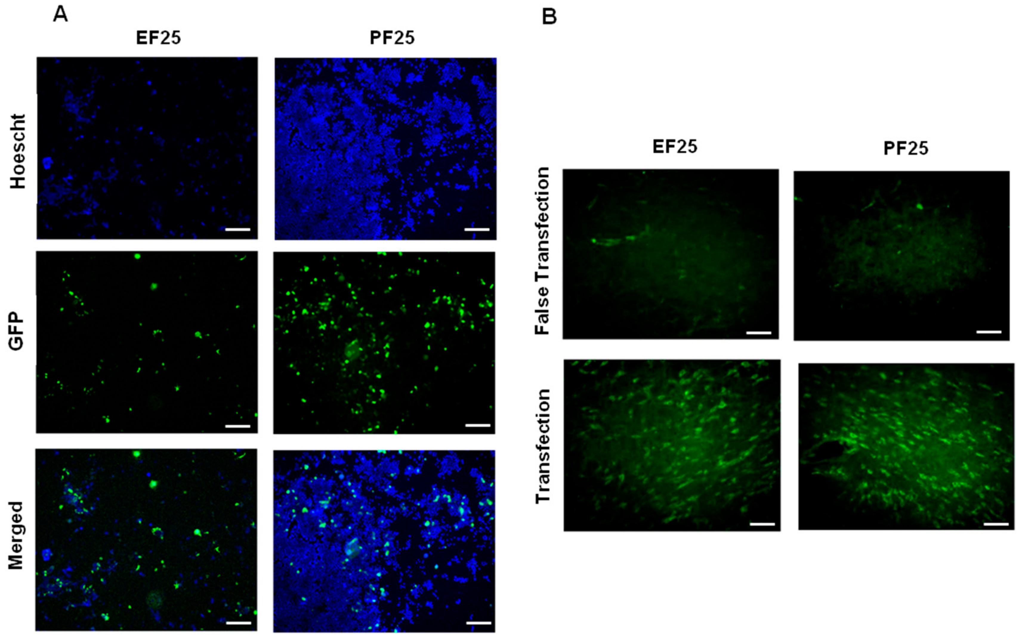 Pharmaceutics 10 00005 g001