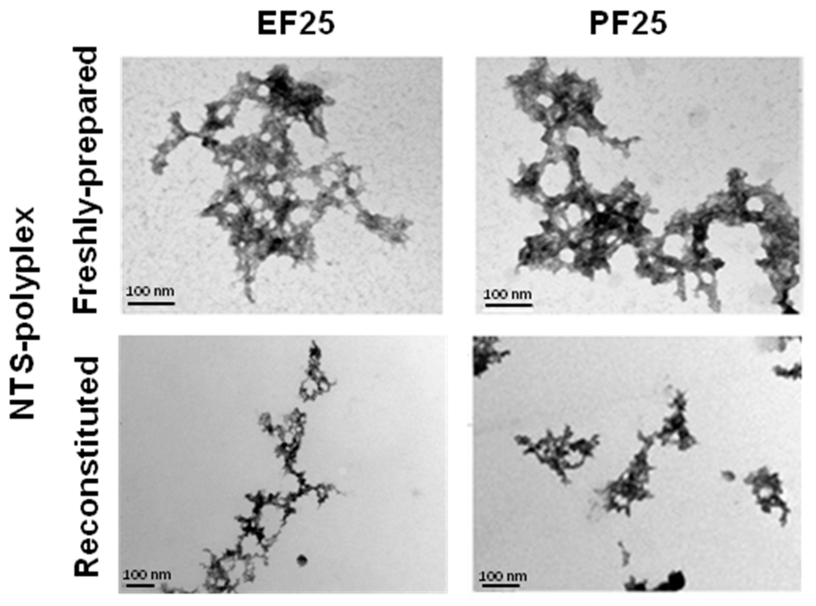 Pharmaceutics 10 00005 g003