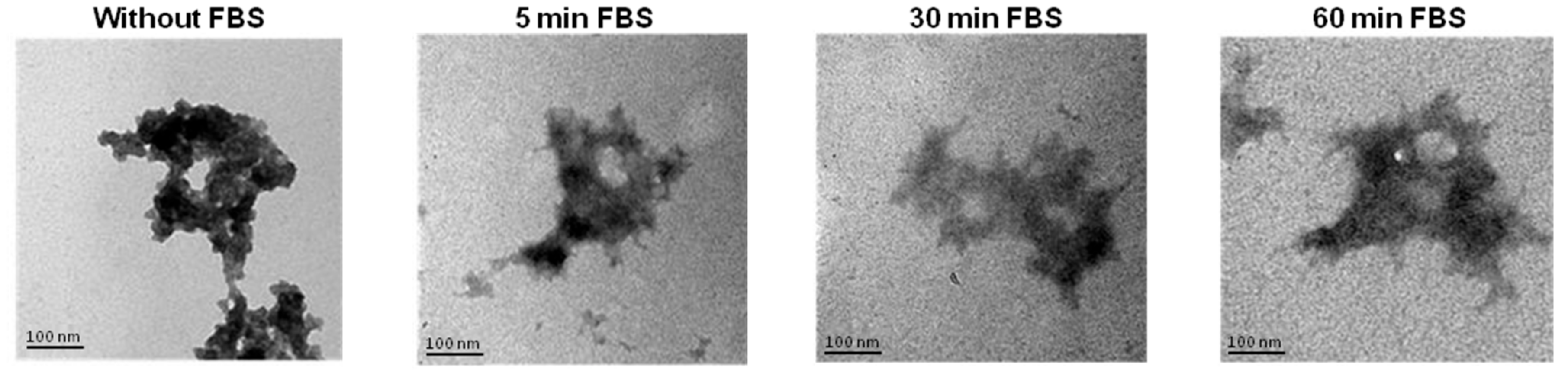 Pharmaceutics 10 00005 g005