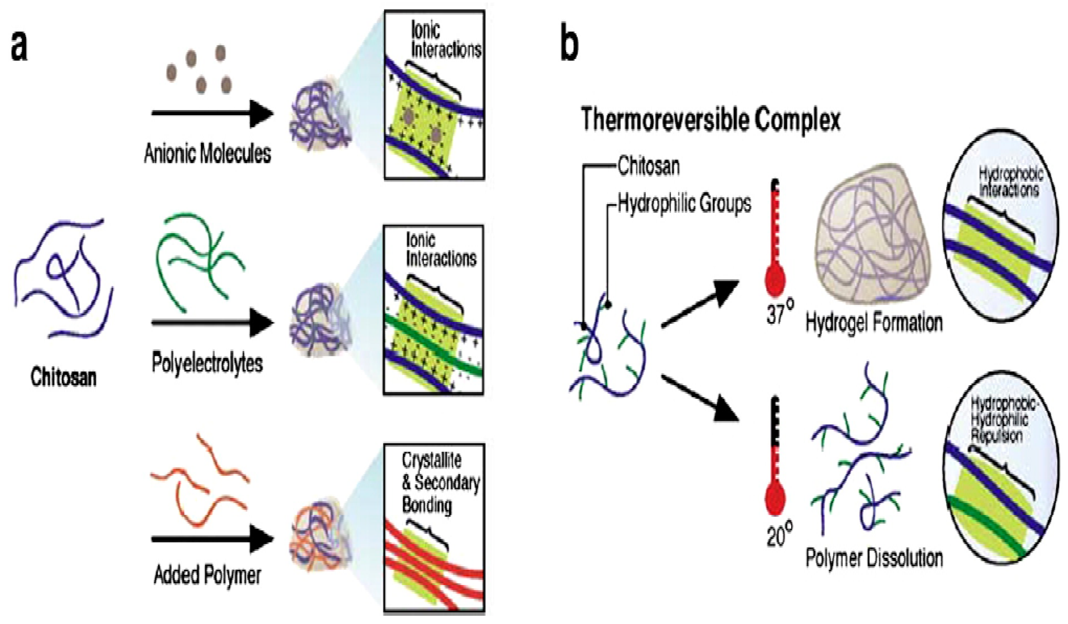 Pharmaceutics 10 00016 g001