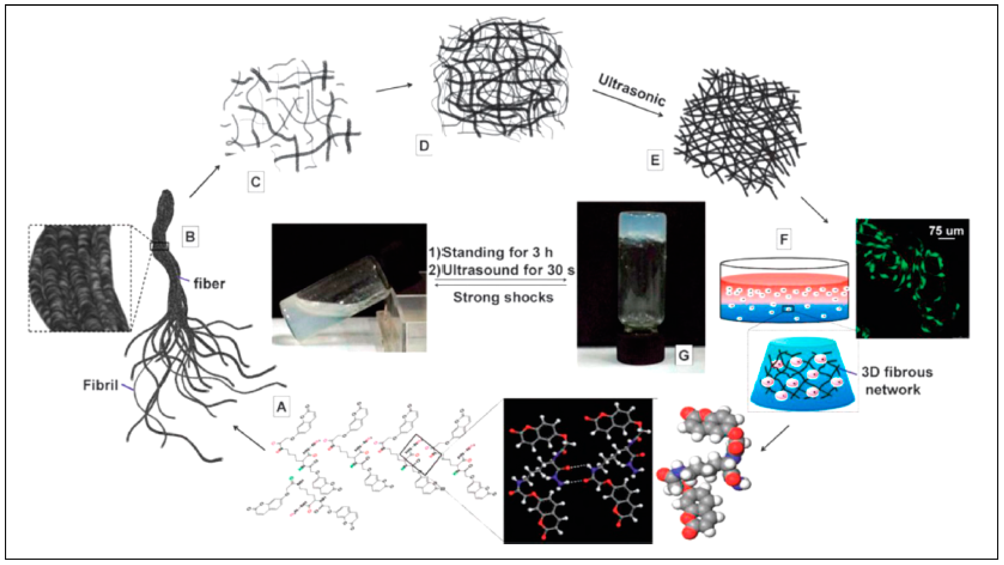 Pharmaceutics 10 00016 g005