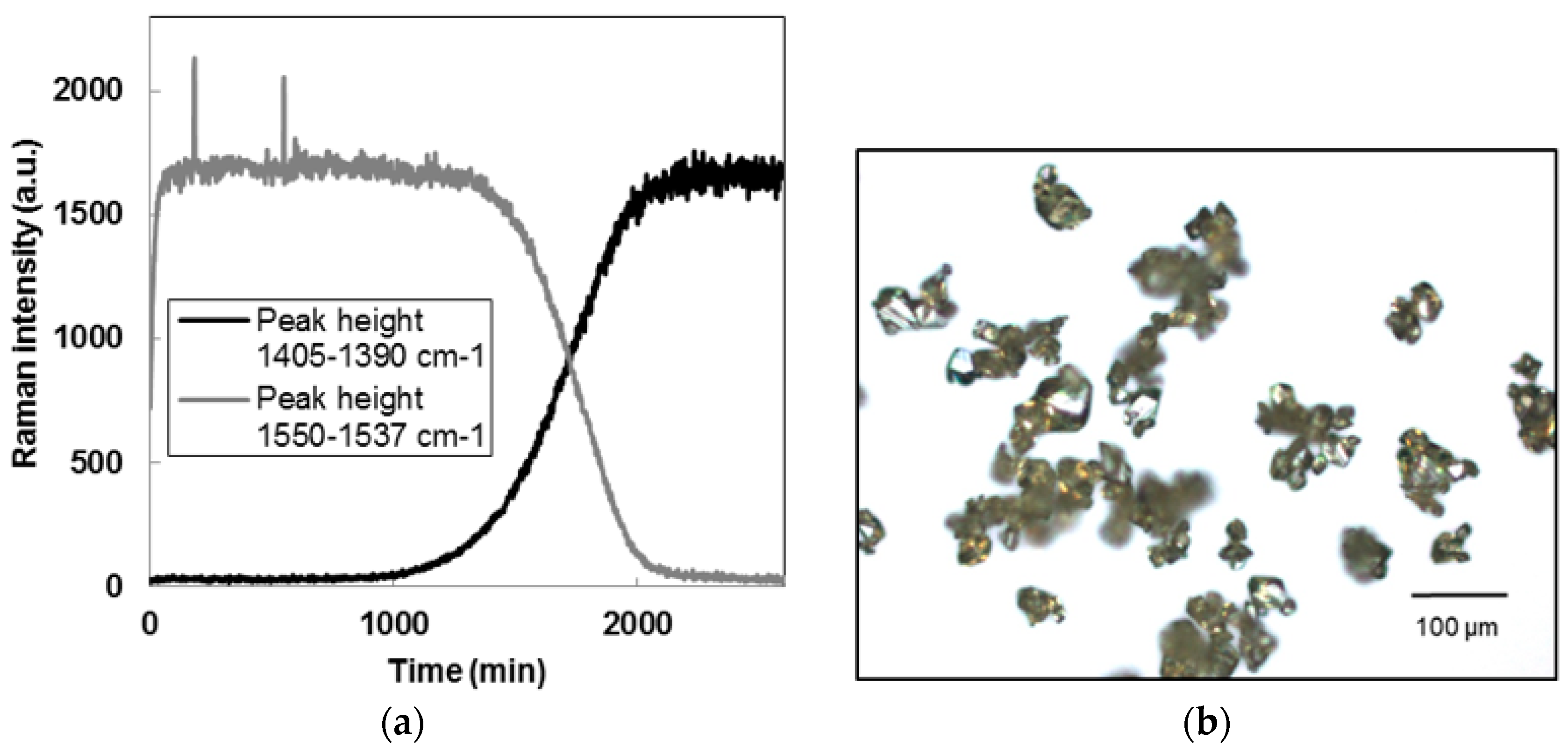 Pharmaceutics 10 00017 g005 Pharmaceutics 10 00017 g005