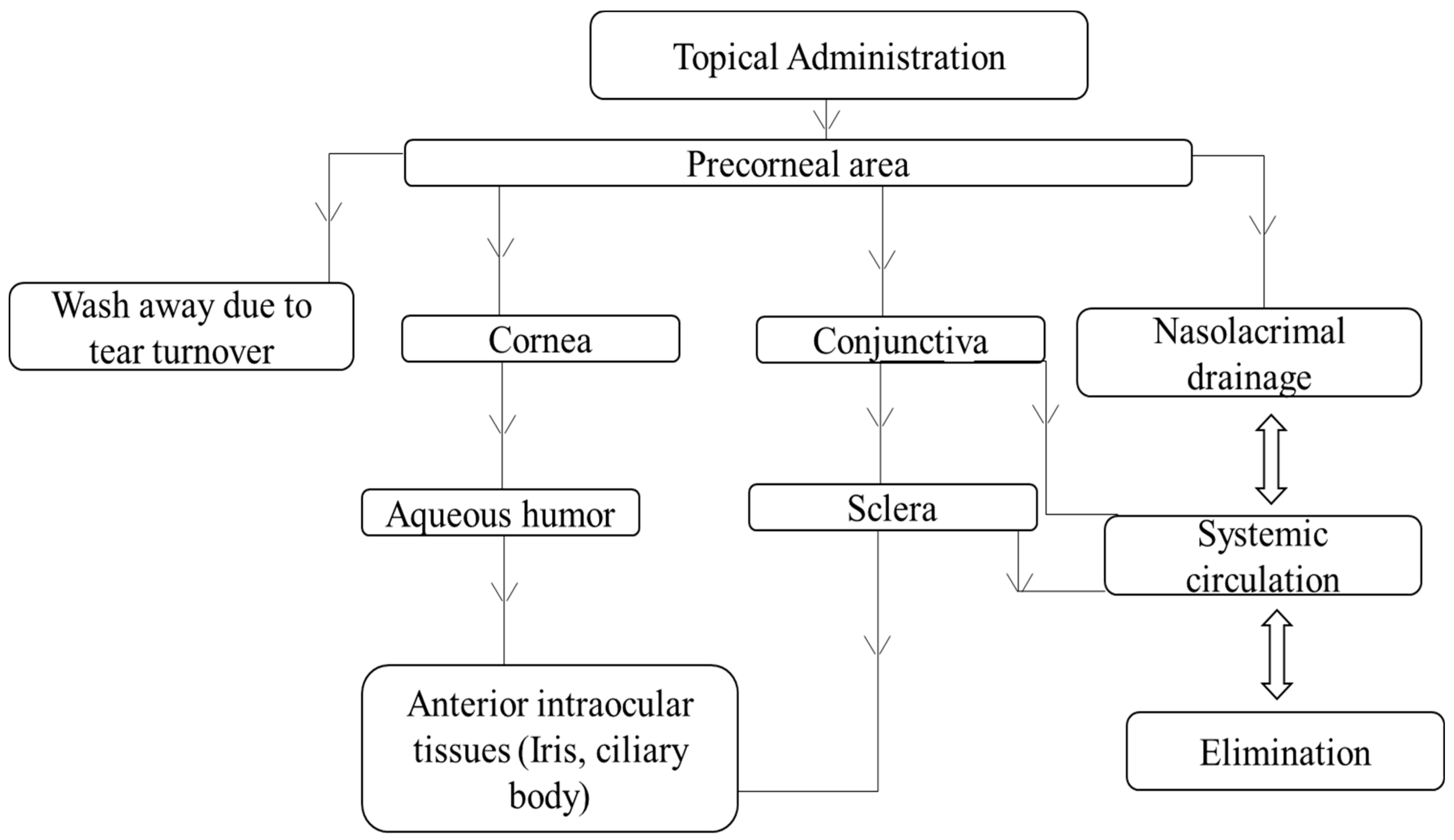 Pharmaceutics 10 00028 g010